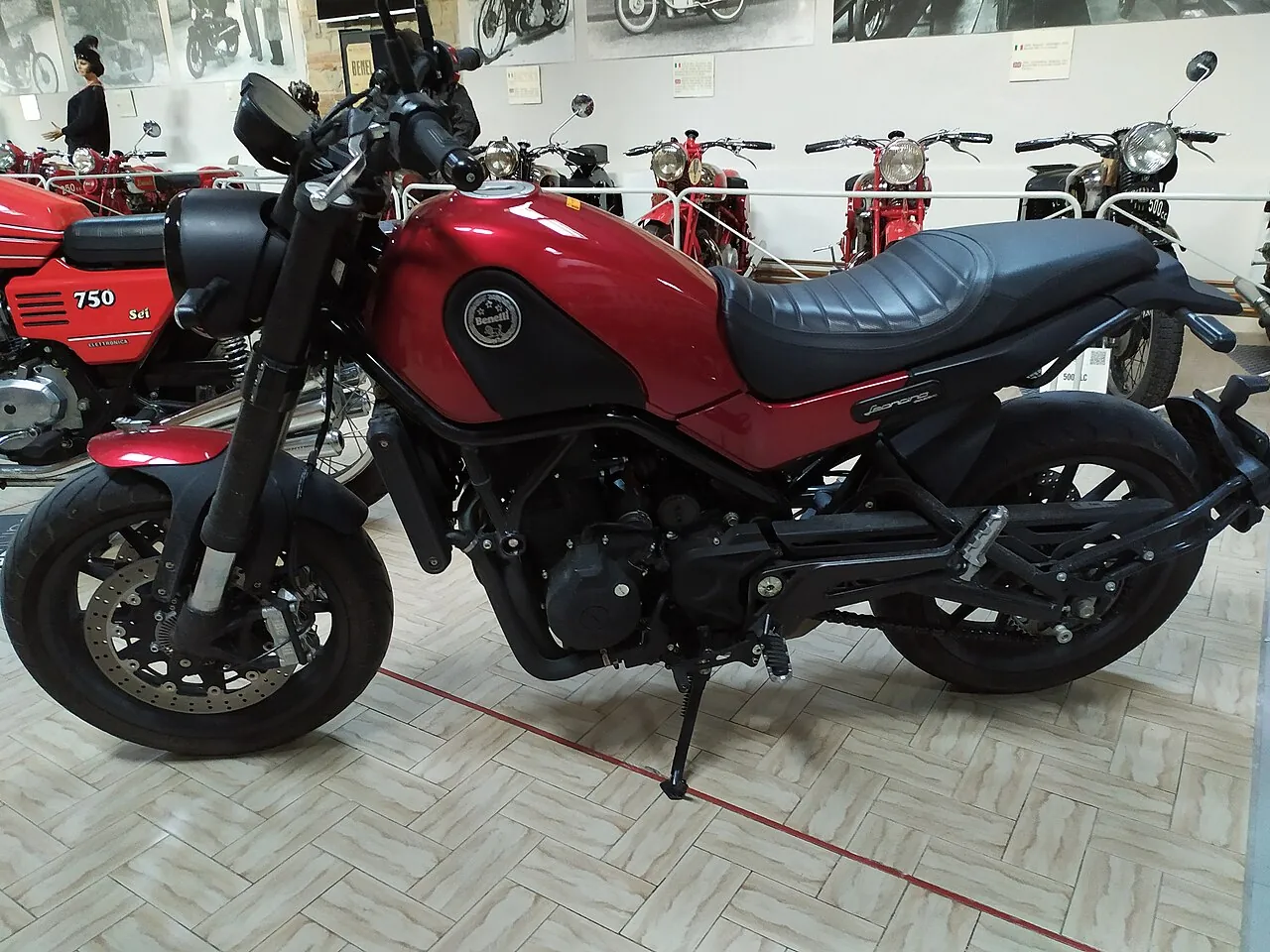 Benelli Leoncino 500 merah dengan lambang singa di tangki, dipajang di ruangan bersama motor Benelli lawas